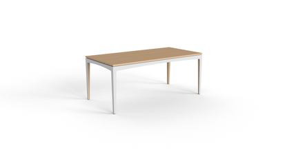 GT long dining table