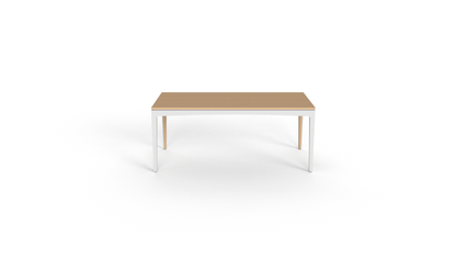 GT long dining table
